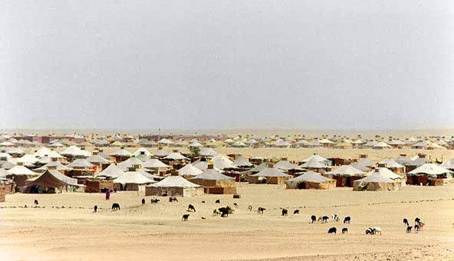Sahrawi: Campo profughi a Tindouf, a sud ovest dell’Algeria